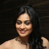 Neha Hinge at Srivalli Audio Launch Function Photos | Picture 1464904