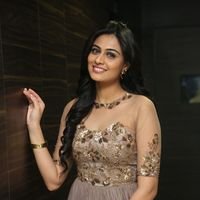 Neha Hinge at Srivalli Audio Launch Function Photos | Picture 1464924