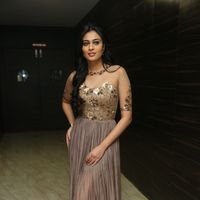 Neha Hinge at Srivalli Audio Launch Function Photos | Picture 1464836