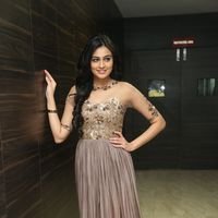 Neha Hinge at Srivalli Audio Launch Function Photos | Picture 1464909