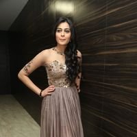 Neha Hinge at Srivalli Audio Launch Function Photos | Picture 1464906