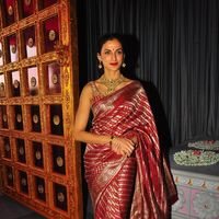 Shilpa Reddy - TSR Grandson Keshav and Veena Wedding Reception Photos | Picture 1467104