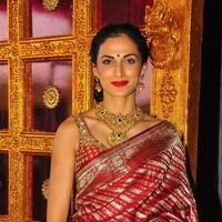 Shilpa Reddy - TSR Grandson Keshav and Veena Wedding Reception Photos | Picture 1467090