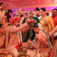 TSR Grandson Keshav and Veena Wedding Reception Photos | Picture 1467167