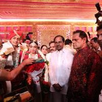 TSR Grandson Keshav and Veena Wedding Reception Photos