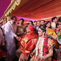 TSR Grandson Keshav and Veena Wedding Reception Photos | Picture 1467170