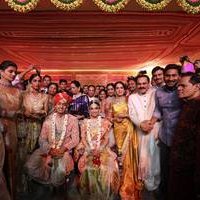 TSR Grandson Keshav and Veena Wedding Reception Photos | Picture 1467178