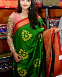 Aishwarya Gorak Inaugurates Pochampally IKAT Mela | Picture 1517886