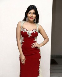 Rachana Smith - Idem Deyyam Movie Audio Launch | Picture 1519357