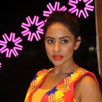 Sri Reddy Latest Hot Photos | Picture 1477121