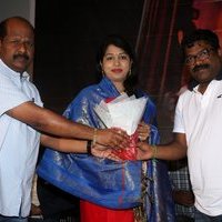 Dora Telugu Version Audio Launch Photos