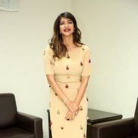 Lakshmi Prasanna Interview Photos | Picture 1479133