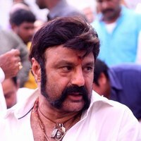 Nandamuri Balakrishna - Nandamuri Balakrishna NBK 101 Movie Launch Photos | Picture 1479784
