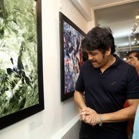 Launch Of Bharat Thakur's Colossal Abstracts at Gallery Space Photos | Picture 1480445