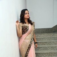 Shilpa Chakravarthy In Pink Saree Photos | Picture 1481245