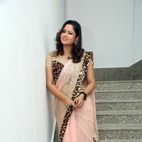 Shilpa Chakravarthy In Pink Saree Photos | Picture 1481242