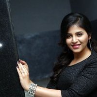 Anjali (Actress) - Chitrangada Movie Success Meet Photos | Picture 1481645