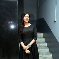 Anjali (Actress) - Chitrangada Movie Success Meet Photos | Picture 1481628