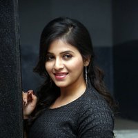 Anjali (Actress) - Chitrangada Movie Success Meet Photos | Picture 1481650