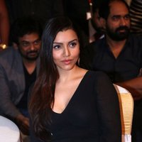 Kyra Dutt Hot Stills At Rogue Audio Release Function | Picture 1481848