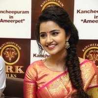 Anupama Parameswaran at VRK Silks Opening Photos | Picture 1485942