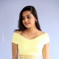 Actress Shipra Gaur Hot in Yellow Deep Neck Shorts Photos | Picture 1486884