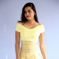 Actress Shipra Gaur Hot in Yellow Deep Neck Shorts Photos | Picture 1486887