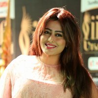 Actress Nidhi Hot Stills at IIFA Utsavam 2017 | Picture 1488049
