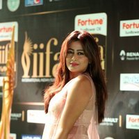 Actress Nidhi Hot Stills at IIFA Utsavam 2017 | Picture 1488034
