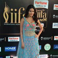 Amyra Dastur Hot Stills at IIFA Utsavam Awards 2017 | Picture 1488491