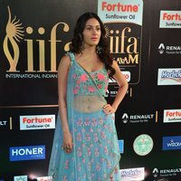 Amyra Dastur Hot Stills at IIFA Utsavam Awards 2017 | Picture 1488492
