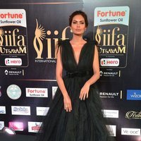 Esha Gupta at IIFA Utsavam Awards 2017 Photos | Picture 1488841