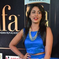 Madhu Shalini at IIFA Utsavam Awards 2017 Photos | Picture 1488465