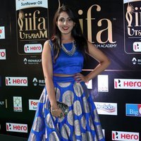 Madhu Shalini at IIFA Utsavam Awards 2017 Photos | Picture 1488444