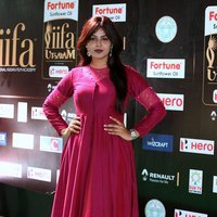 Monal Gajjar at IIFA Utsavam Awards 2017 Photos | Picture 1489086