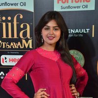 Monal Gajjar at IIFA Utsavam Awards 2017 Photos | Picture 1489108