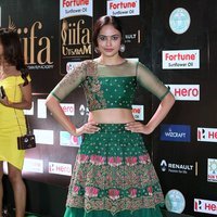 Nandita Swetha at IIFA Utsavam Awards 2017 Photos | Picture 1489121