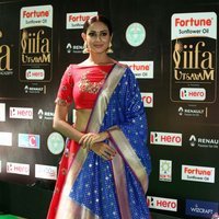 Priya Sri In Saree at IIFA Utsavam Awards 2017 Photos | Picture 1489265