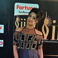 Sanjjanaa Galrani at IIFA Utsavam Awards 2017 Photos | Picture 1489384