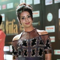 Sanjjanaa Galrani at IIFA Utsavam Awards 2017 Photos | Picture 1489354
