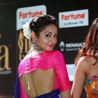 Shanvi at IIFA Utsavam Awards 2017 Photos | Picture 1489423