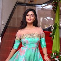 Actress Anisha Ambrose Lovely Stills at F Club Saloon Launch | Picture 1495815