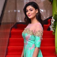 Actress Anisha Ambrose Lovely Stills at F Club Saloon Launch | Picture 1495801