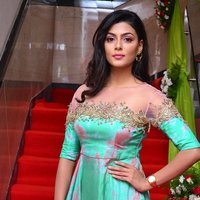 Actress Anisha Ambrose Lovely Stills at F Club Saloon Launch | Picture 1495792