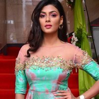 Actress Anisha Ambrose Lovely Stills at F Club Saloon Launch | Picture 1495791