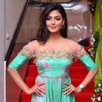 Actress Anisha Ambrose Lovely Stills at F Club Saloon Launch | Picture 1495809