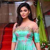 Actress Anisha Ambrose Lovely Stills at F Club Saloon Launch | Picture 1495788