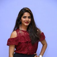 Pavani Gangireddy at 9 Movie Teaser Launch Photos | Picture 1496415