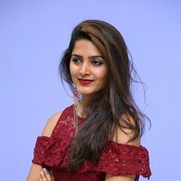 Pavani Gangireddy at 9 Movie Teaser Launch Photos | Picture 1496424