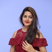 Pavani Gangireddy at 9 Movie Teaser Launch Photos | Picture 1496400